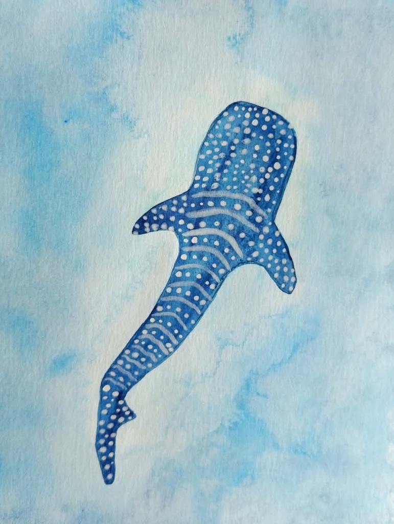 Aquarelle A5 requin baleine